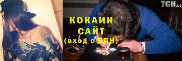 гидра Вяземский