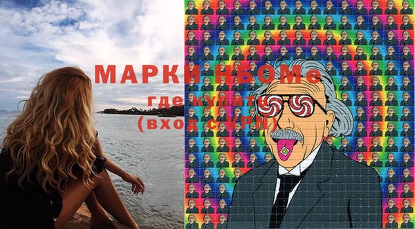 гидра Вяземский