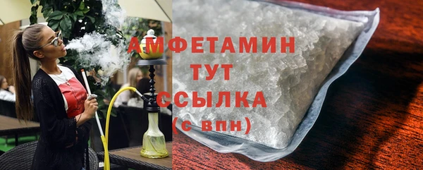 гидра Вяземский