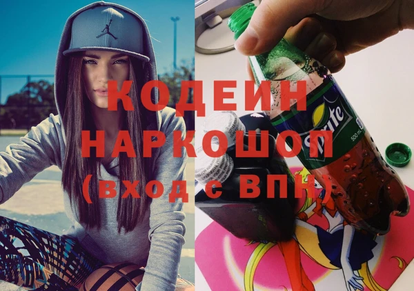 гидра Вяземский