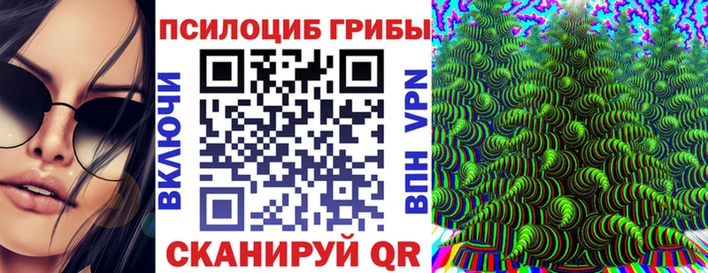 Купить где  Руза  Псилоцибиновые грибы MAGIC MUSHROOMS 